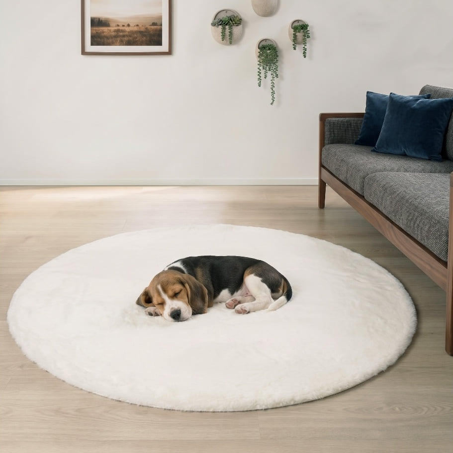 พรมปูพื้นวงกลม EXPRESS CARPET รุ่น BAMBI รหัส BB10 C160 ขนาด เส้นผ่านศูนย์กลาง 160 ซม. หนา 35 มม.  สีขาว_3