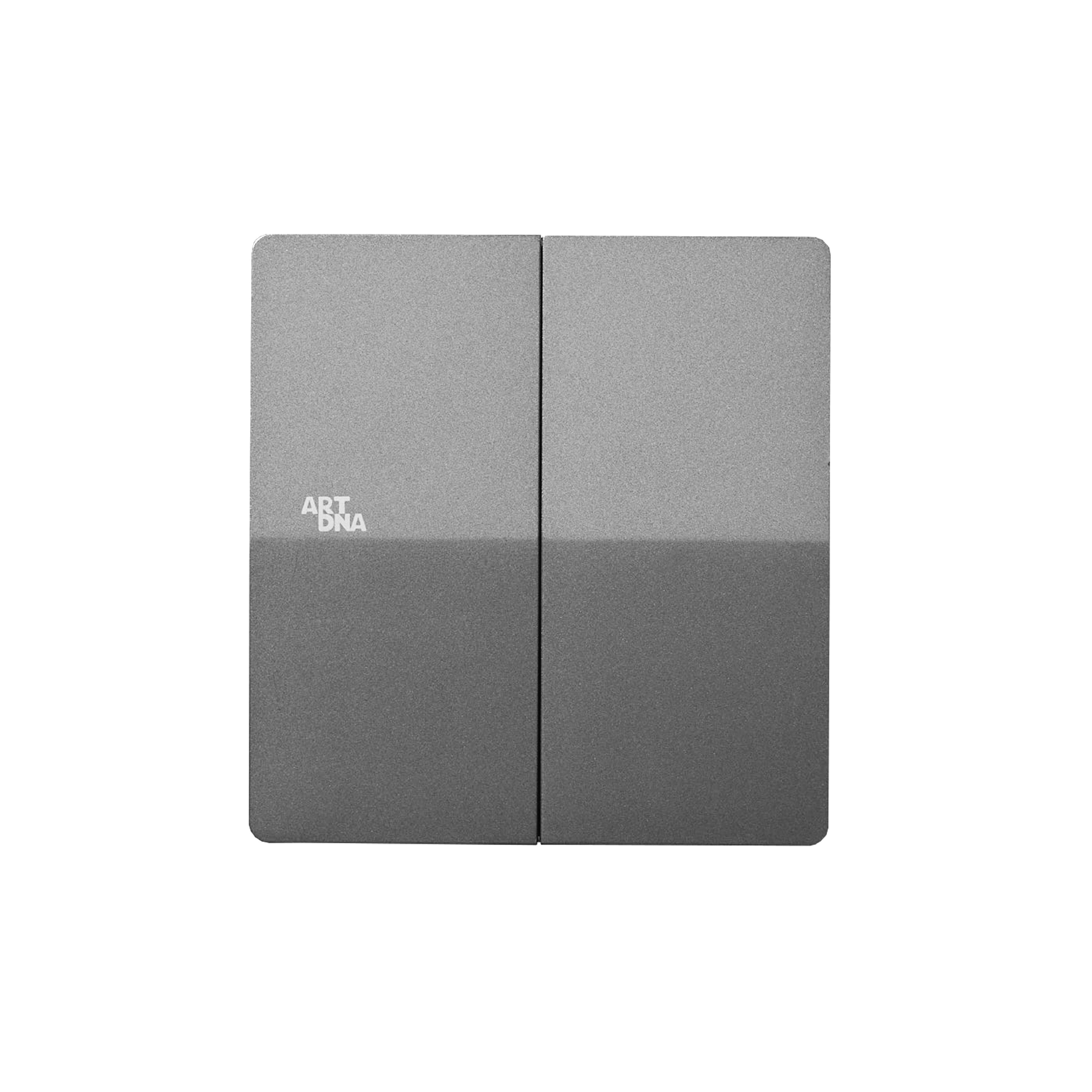ชุดสวิตซ์ 1 ทาง 2 ช่อง ART DNA A61 FRAMELESS สี SILVER DESIGN SWITCH_1