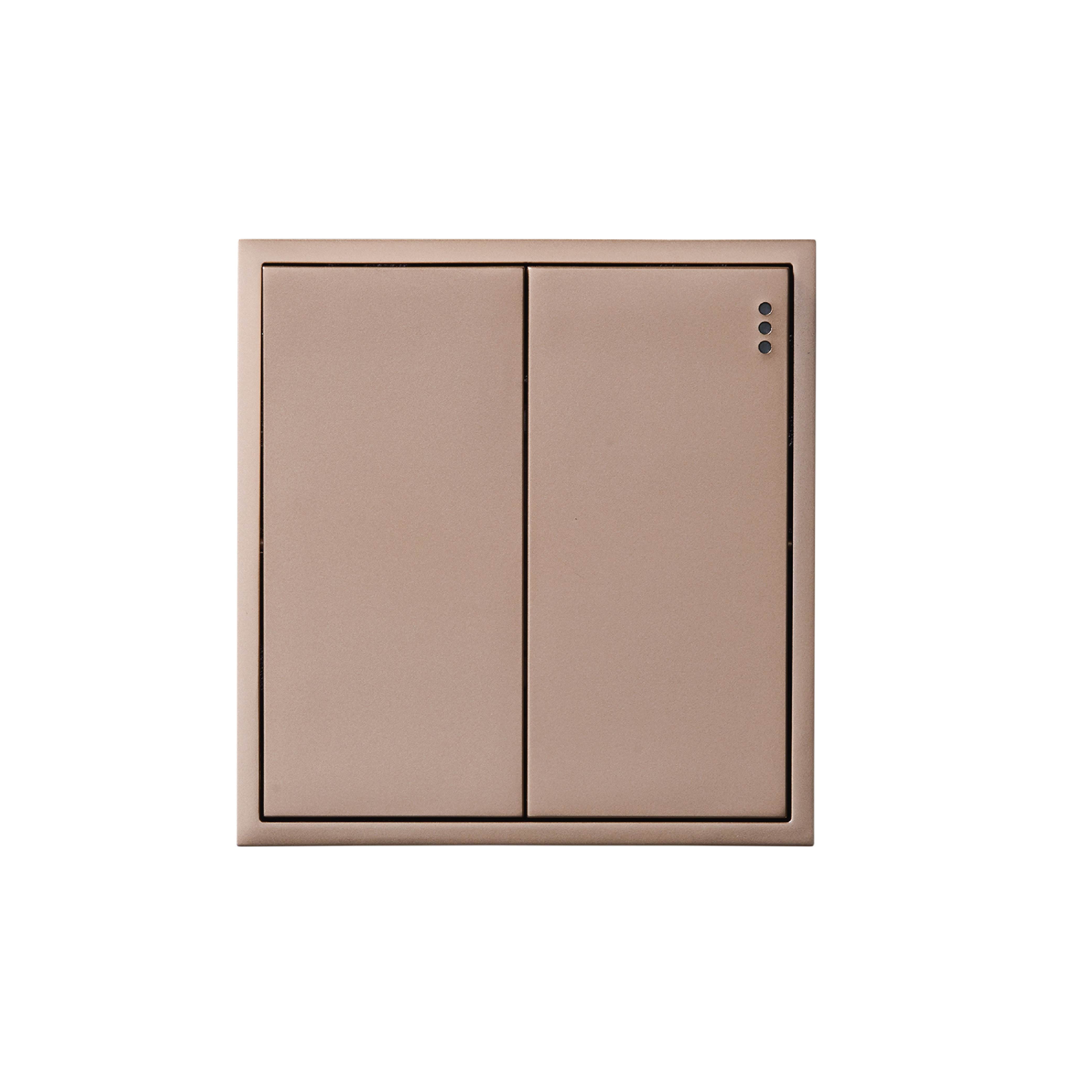 ชุดสวิตซ์ 1 ทาง 2 ช่อง ART DNA D3 SERIES สี GOLD DESIGN SWITCH_1