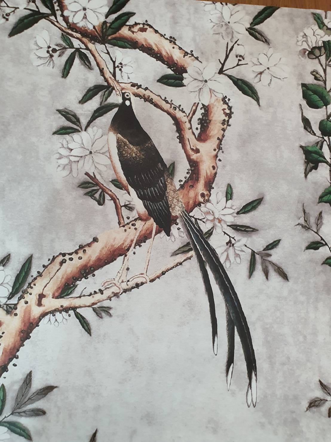 วอลเปเปอร์ OWLS WALLPAPERS ลายนกคู่ ขนาด 1.45 X 1.57 เมตร_3