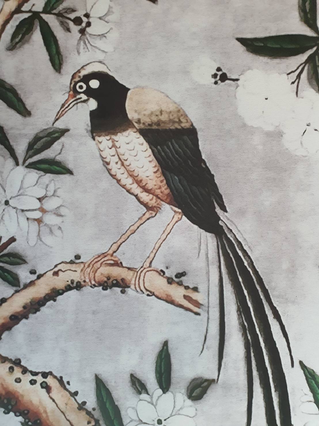 วอลเปเปอร์ OWLS WALLPAPERS THE CHINOISERIES ขนาด : W1.36 X H 3.19 M. SILVER GRAY_5