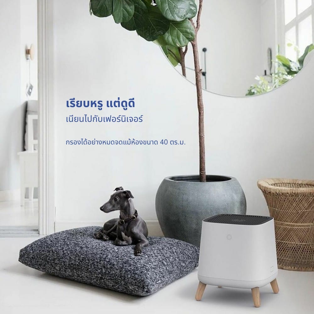 เครื่องฟอกอากาศ SMART AIR รุ่น THE SQAIR ขนาด 40 ตร.ม._3