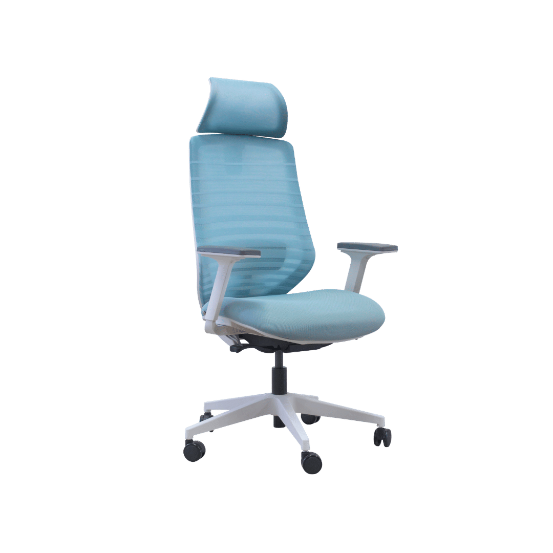 เก้าอี้เพื่อสุขภาพ PFORM FURNITURE รุ่น BLUVA สีฟ้า_0