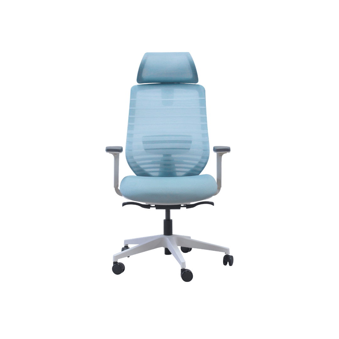เก้าอี้เพื่อสุขภาพ PFORM FURNITURE รุ่น BLUVA สีฟ้า_1