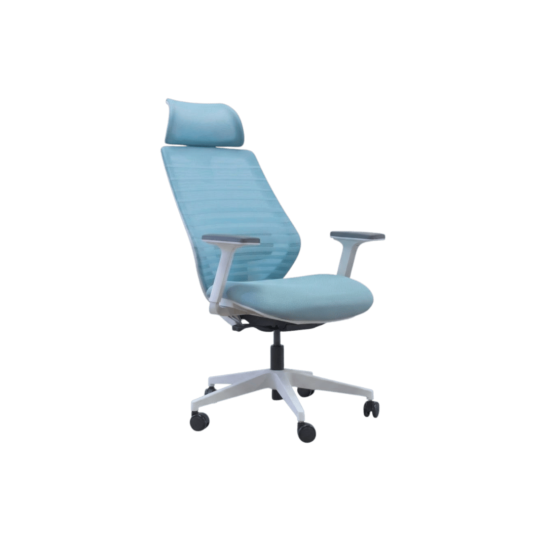 เก้าอี้เพื่อสุขภาพ PFORM FURNITURE รุ่น BLUVA สีฟ้า_6