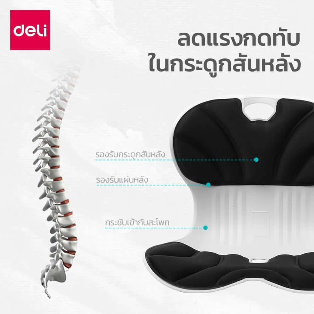 เบาะรองนั่งเพื่อสุขภาพ DELI VS1333-BK-01 12.6 นิ้ว สีดำ