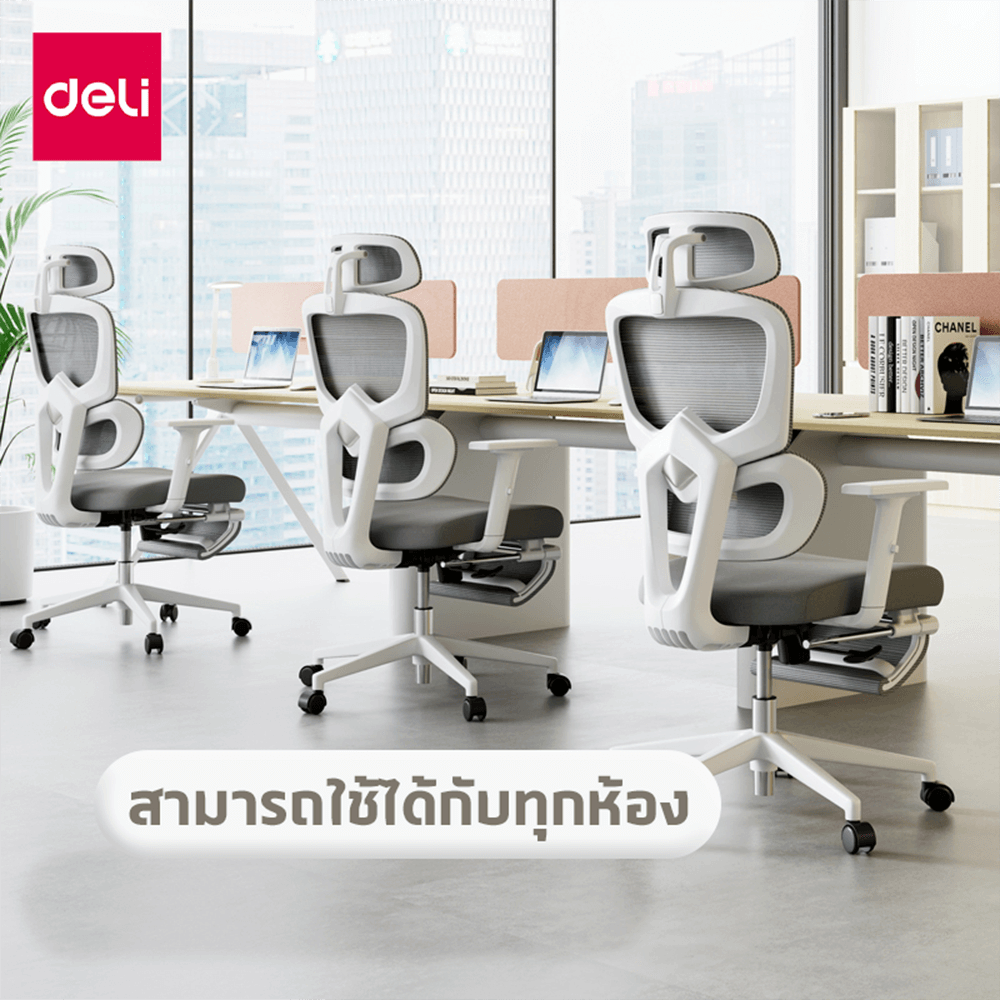 เก้าอี้สุขภาพ DELI E4981-WH-01 รองเอว-พักขา สีเทา