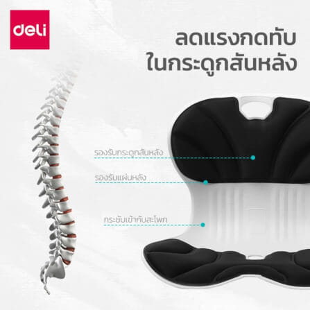เบาะรองนั่งเพื่อสุขภาพ DELI VS1333-BK-01 12.6 นิ้ว สีดำ_1