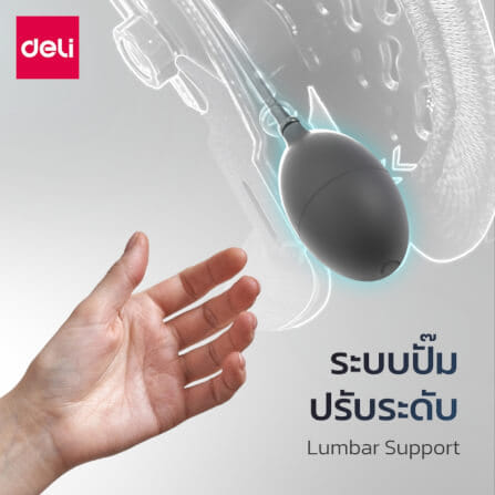 เบาะรองหลังเพื่อสุขภาพ DELI VS1334-BK-01 15.75 นิ้ว สีดำ_2