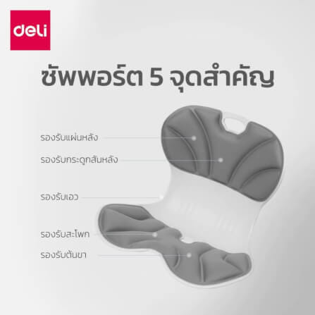 เบาะรองนั่งเพื่อสุขภาพ DELI VS1333-BK-01 12.6 นิ้ว สีดำ_3