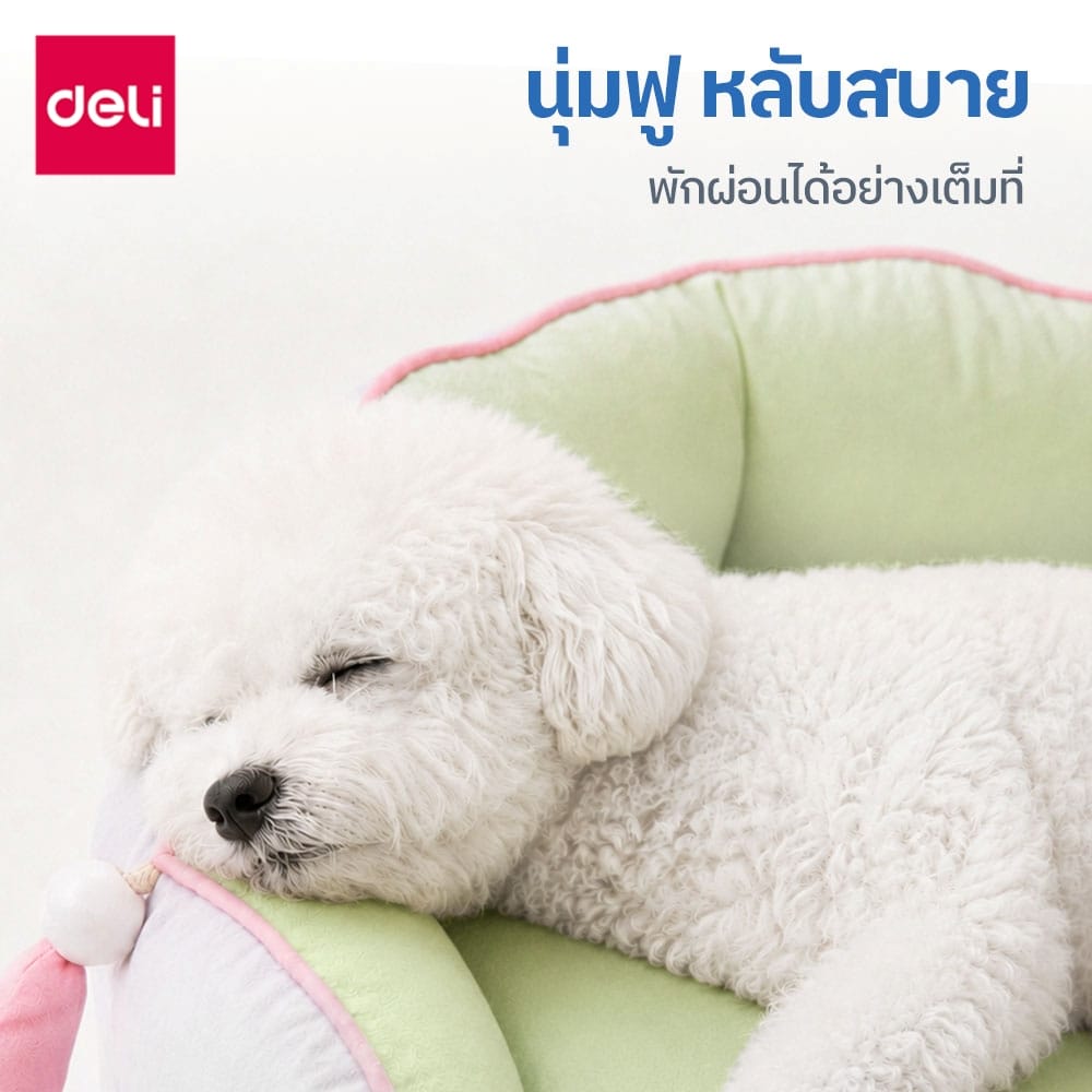 ที่นอนสัตว์เลี้ยง BEMBAM BM605-YL-01 ไซส์ XL เหลืองฟ้า_1