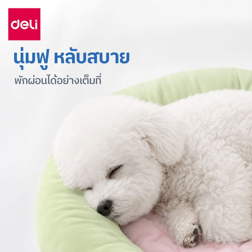 เบาะนอนสัตว์เลี้ยง BEMBAM BM603-GN-01 85X60X7 CM เขียวชมพู_1