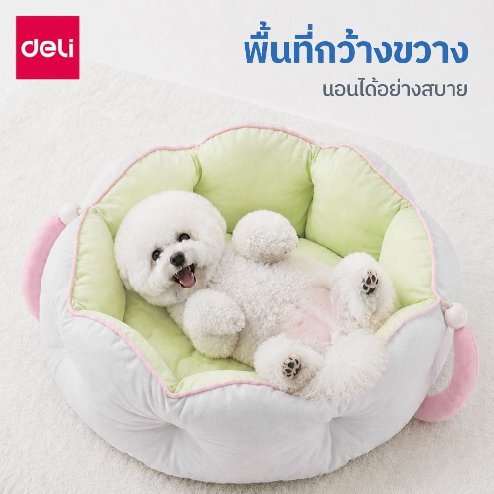 ที่นอนสัตว์เลี้ยง BEMBAM BM605-YL-01 ไซส์ XL เหลืองฟ้า_2