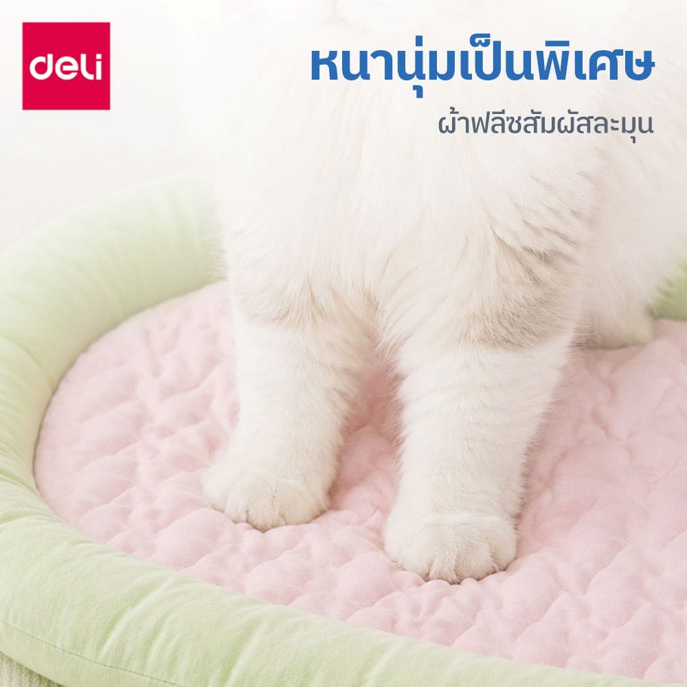 เบาะนอนสัตว์เลี้ยง BEMBAM BM603-GN-01 85X60X7 CM เขียวชมพู_3