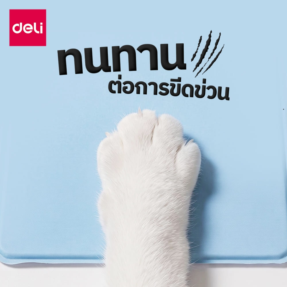 แผ่นเจลเย็นสัตว์เลี้ยง BEMBAM BM607-BL-01 40X50 CM ฟ้า_4
