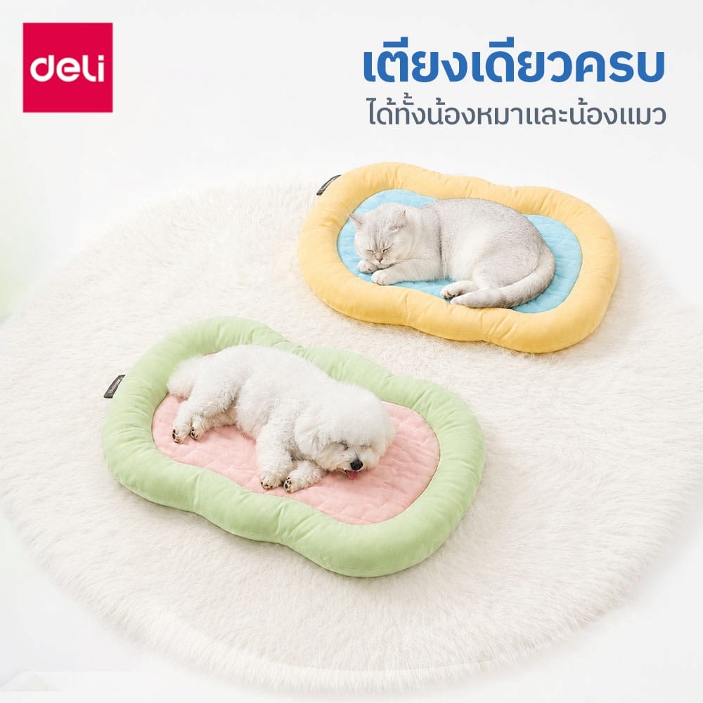เบาะนอนสัตว์เลี้ยง BEMBAM BM603-GN-01 85X60X7 CM เขียวชมพู_4