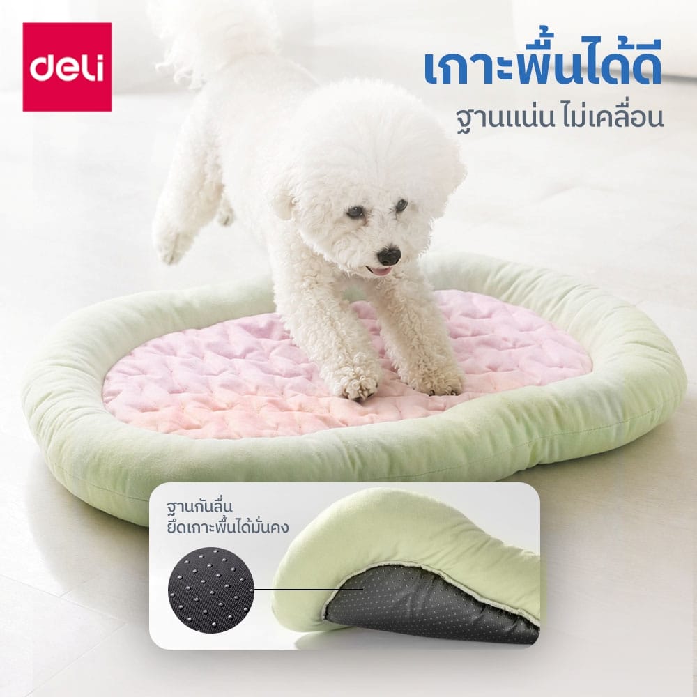 เบาะนอนสัตว์เลี้ยง BEMBAM BM603-GN-01 85X60X7 CM เขียวชมพู_5