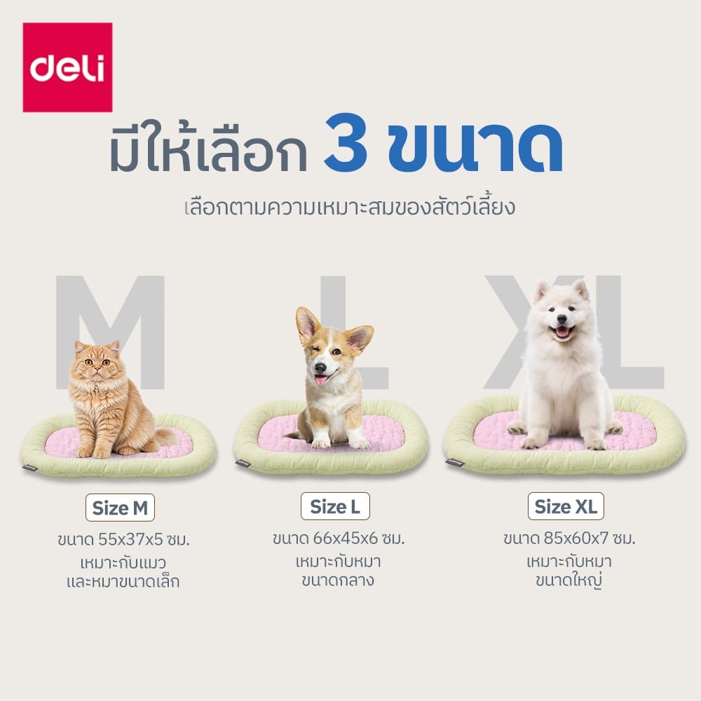 เบาะนอนสัตว์เลี้ยง BEMBAM BM603-GN-01 85X60X7 CM เขียวชมพู_9