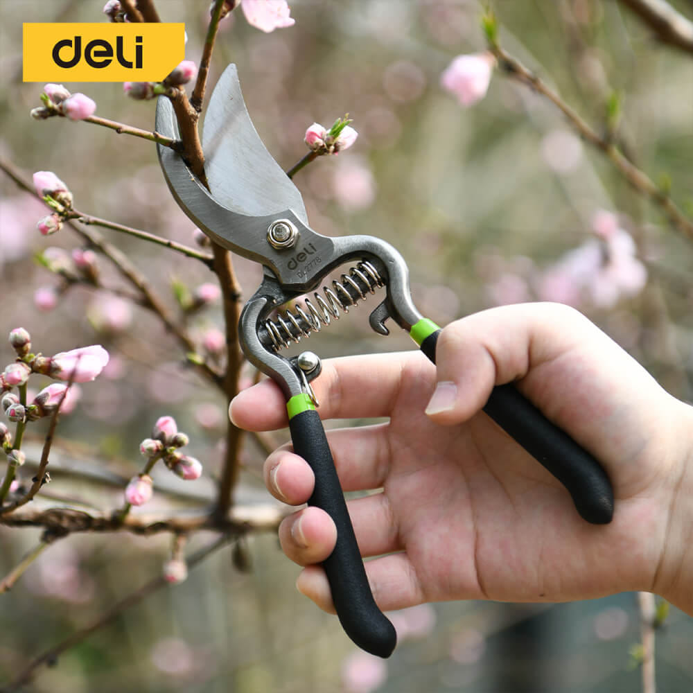 กรรไกรตัดกิ่ง DELI EDL2778-BK-01 8นิ้ว สีเขียว_1