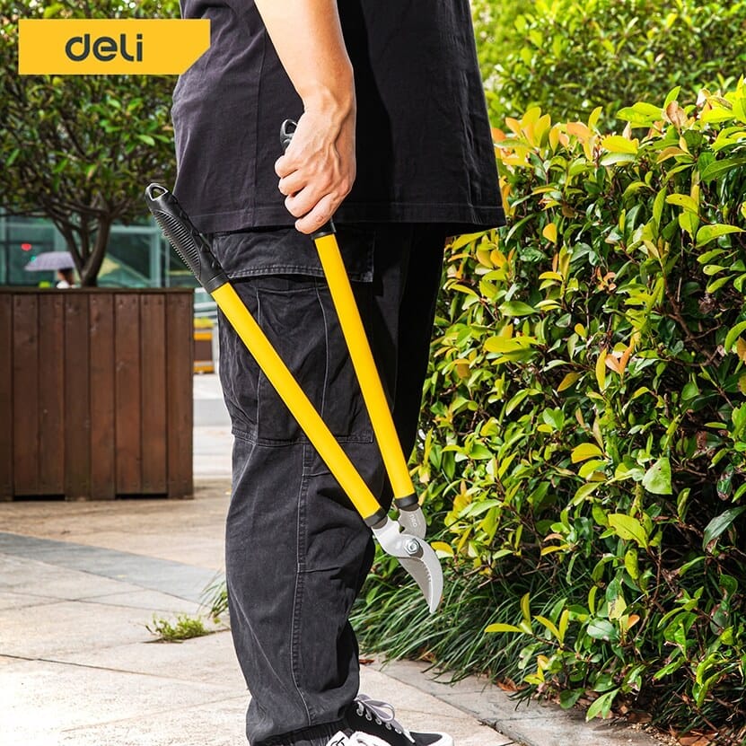 กรรไกรตัดกิ่ง DELI EDL580003-YL-01 เซ็ท 3ชิ้น สีเขียว_1