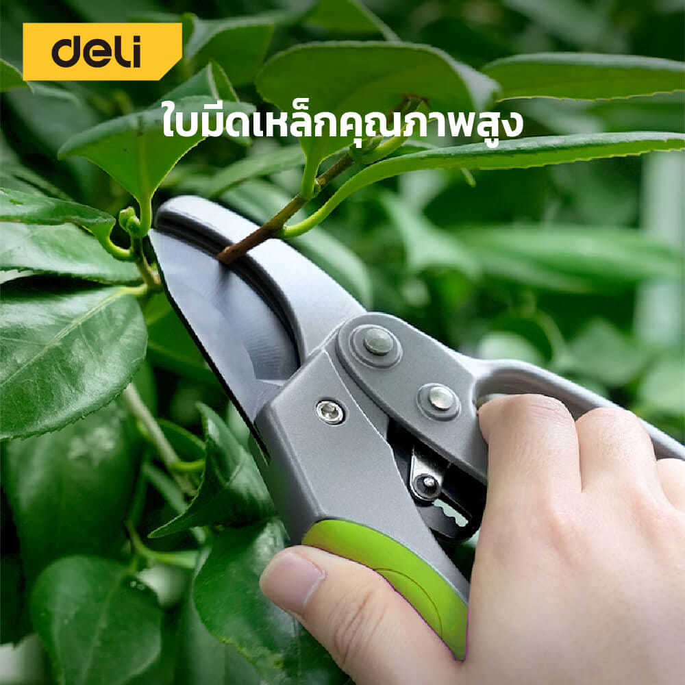กรรไกรตัดกิ่ง DELI EDL580229-GN-01 8นิ้ว สีเทา