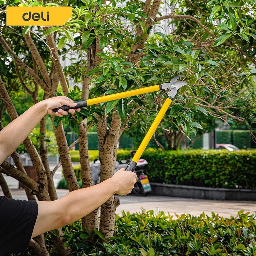 กรรไกรตัดกิ่ง DELI EDL580003-YL-01 เซ็ท 3ชิ้น สีเขียว_2