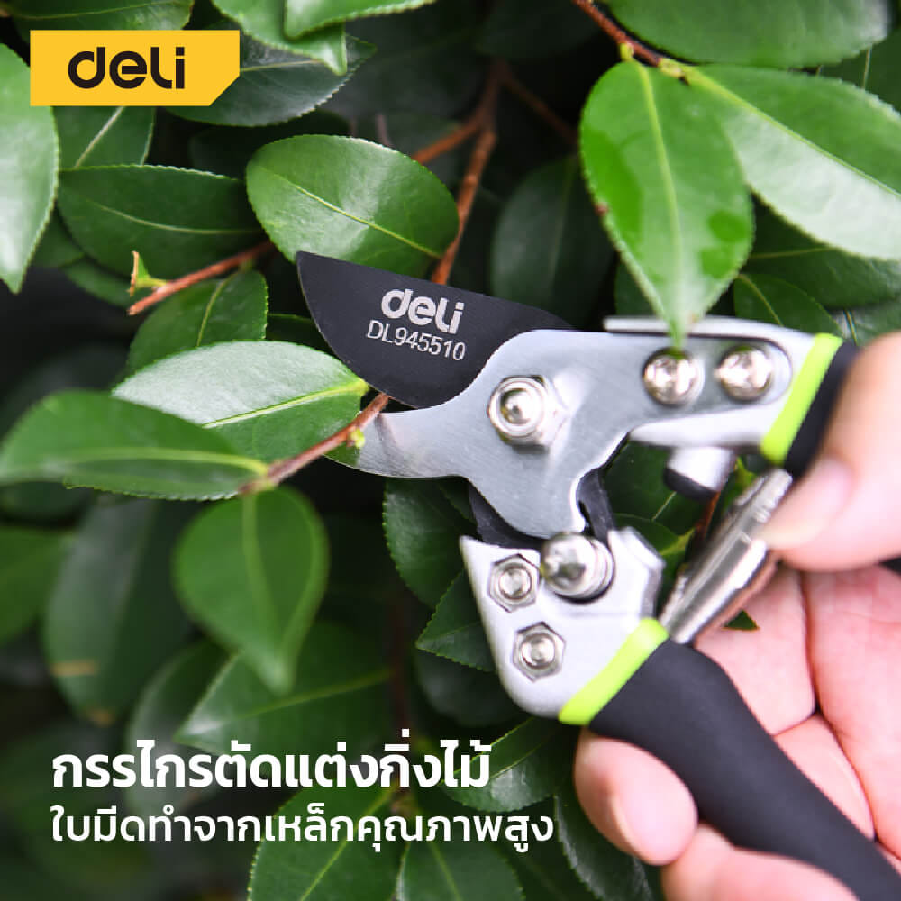 กรรไกรตัดกิ่ง DELI EDL580210-GN-01 8นิ้ว สีเขียว