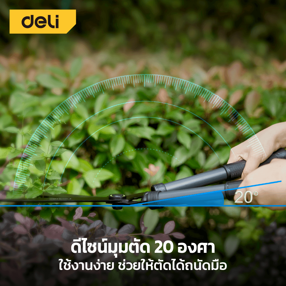 กรรไกรตัดกิ่ง DELI EDL-YL1001-GN-01 52.5 ซม._3