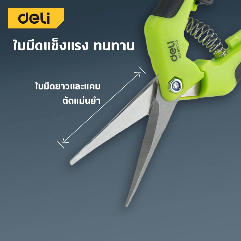 กรรไกรตัดกิ่ง DELI EDLE580120-GN-01 6.5 นิ้ว