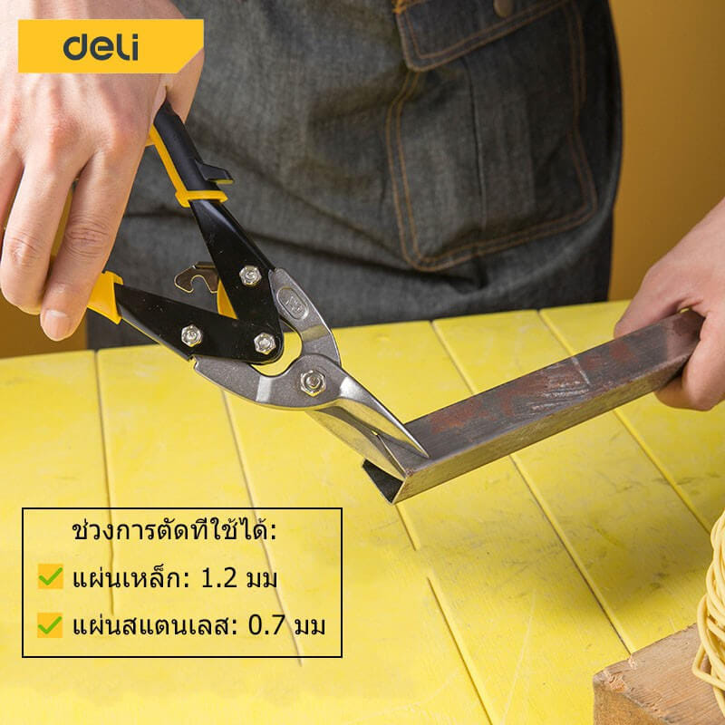 กรรไกรตัดเหล็ก DELI EDL20030-YL-01 10นิ้ว_4