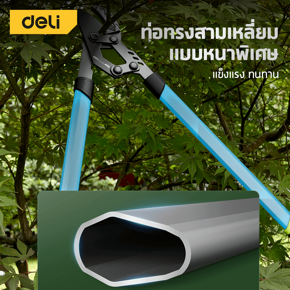 กรรไกรตัดกิ่งไม้ด้ามยาว DELI EDL-YL1102-GN-01 76 ซม._5