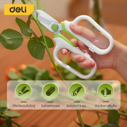 กรรไกรตัดแต่งกิ่ง DELI EDL-YL0008-GN-01 7 นิ้ว สีเขียว_1