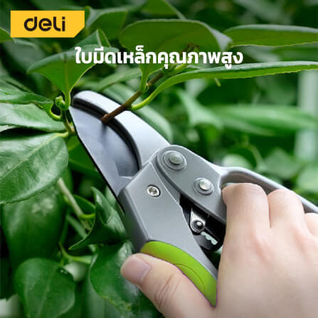 กรรไกรตัดกิ่ง DELI EDL580229-GN-01 8นิ้ว สีเทา_8