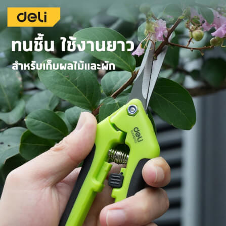 กรรไกรตัดกิ่ง DELI EDLE580120-GN-01 6.5 นิ้ว_8