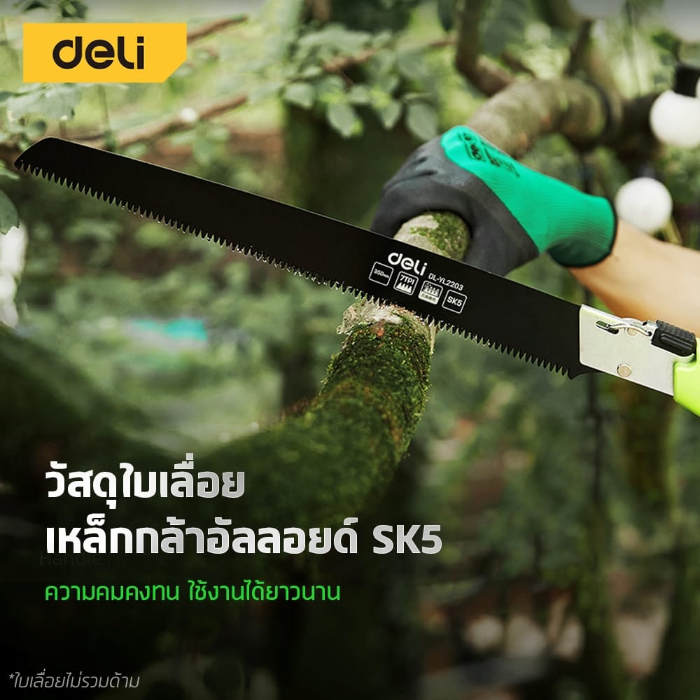 ใบเลื่อย DELI EDL-YL2203P-BK-01 แบบตรง สีดำ_1
