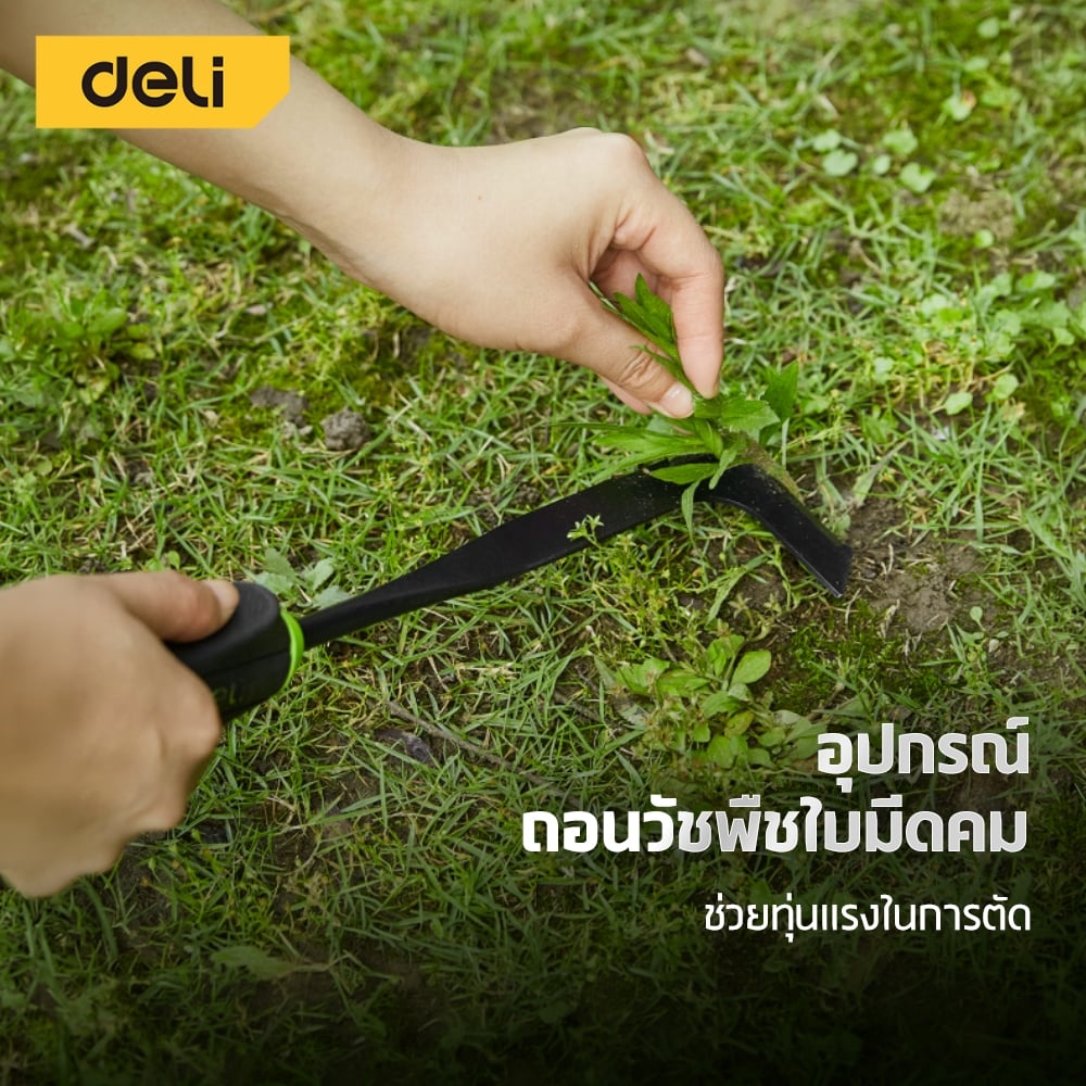 มีดแซะหญ้า DELI EDL-YL3007-GN-01 สีเขียว_1