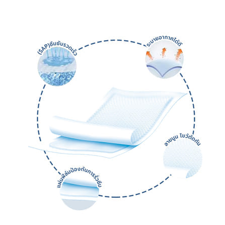 แผ่นรองซับ ANO EQ ใหญ่พิเศษ 60X90 ซม.(ยกลังสุดคุ้ม 100 ชิ้น)_2