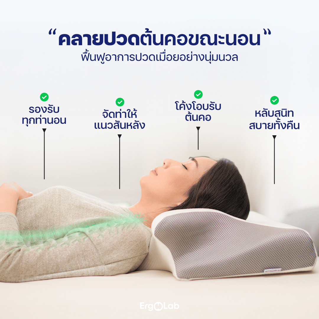 หมอนสุขภาพ เมมโมรี่โฟม ERGOLAB DEEP SLEEP ขนาด 60X35X12 ซม. สีขาว (6 ใบ)_3