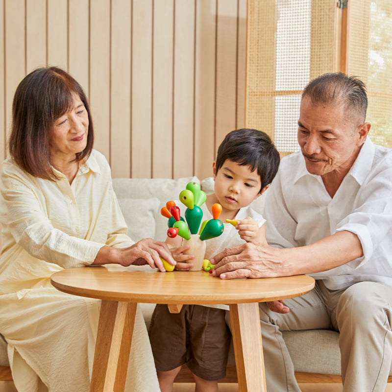 ชุดของเล่นไม้ PLANTOYS เกมกระบองเพชรฝึกสมดุล สำหรับเด็กอายุ  3-99  ปี_6