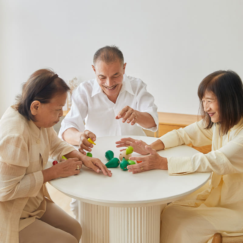 ชุดของเล่นไม้ PLANTOYS เกมกระบองเพชรฝึกสมดุล สำหรับเด็กอายุ  3-99  ปี_3