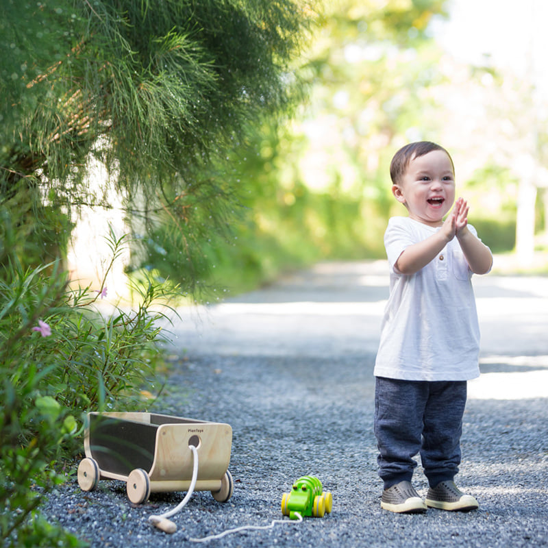 ชุดของเล่นไม้ PLANTOYS รถลาก-ดำ สำหรับเด็กอายุ 3 ปีขึ้นไป_2