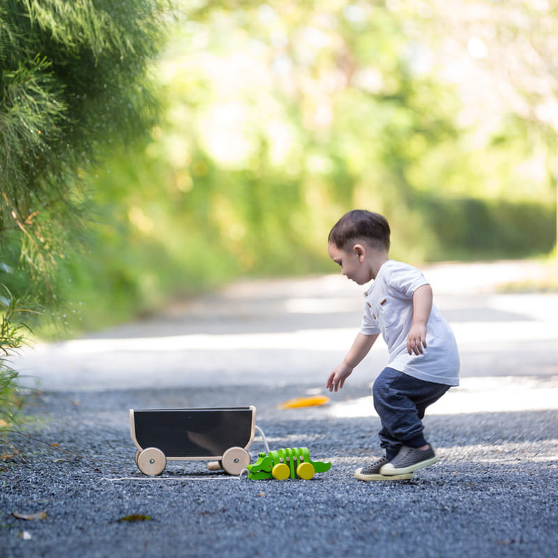 ชุดของเล่นไม้ PLANTOYS รถลาก-ดำ สำหรับเด็กอายุ 3 ปีขึ้นไป_3