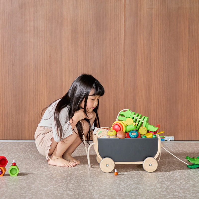 ชุดของเล่นไม้ PLANTOYS รถลาก-ดำ สำหรับเด็กอายุ 3 ปีขึ้นไป_5