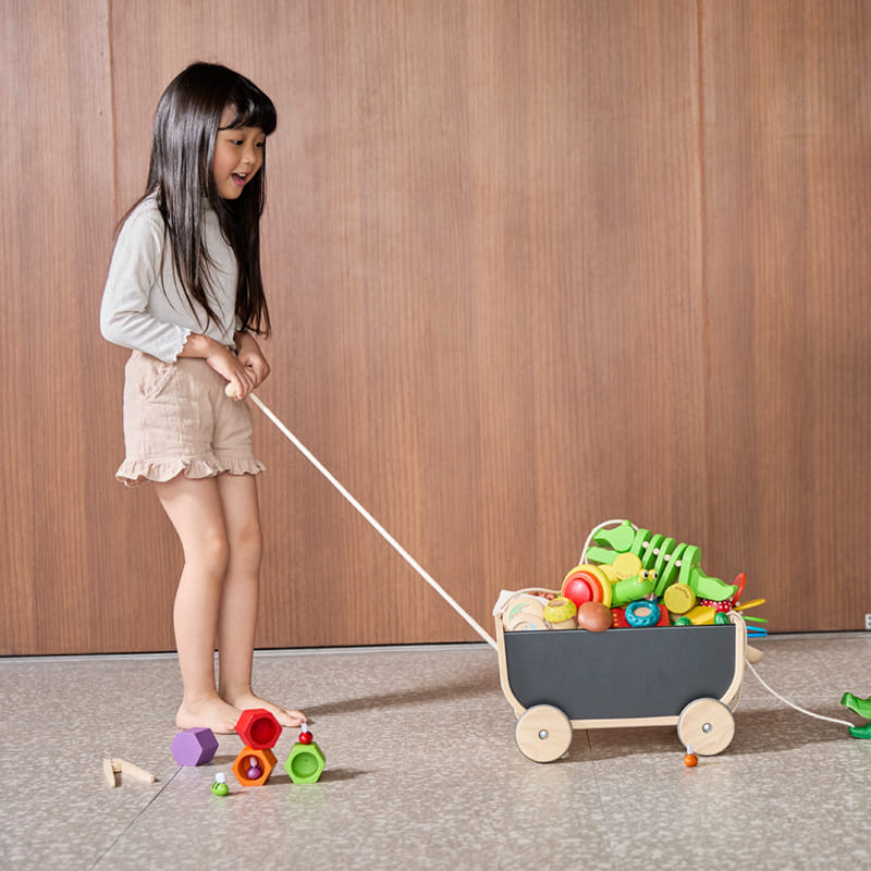 ชุดของเล่นไม้ PLANTOYS รถลาก-ดำ สำหรับเด็กอายุ 3 ปีขึ้นไป_6