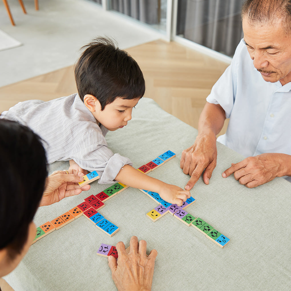 ชุดของเล่นไม้ PLANTOYS โดมิโนบอกอารมณ์ สำหรับเด็กอายุ  3-99 ปี_3