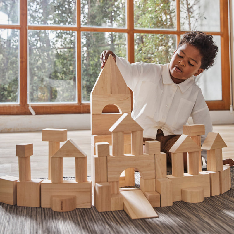 ชุดของเล่นไม้ PLANTOYS ชุดบล็อก 50 ชิ้น สำหรับเด็กอายุ 18 เดือนขึ้นไป_2