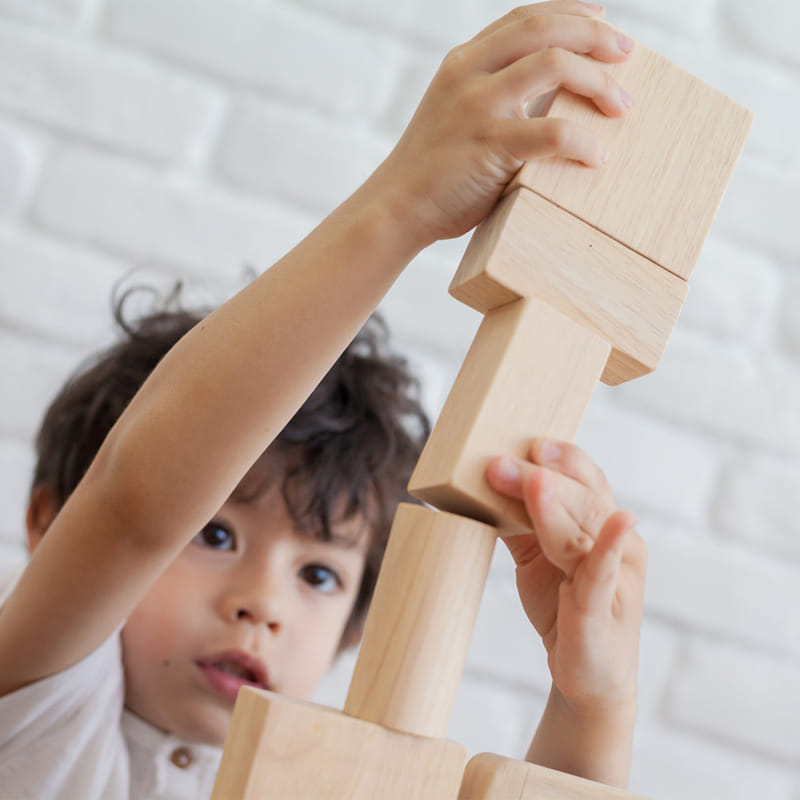 ชุดของเล่นไม้ PLANTOYS ชุดบล็อก 50 ชิ้น สำหรับเด็กอายุ 18 เดือนขึ้นไป_3