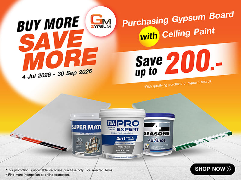 GYPSUM PAINT