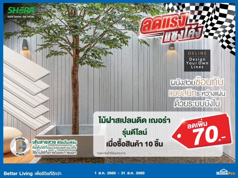 ไม้ฝาสเปลนดิด