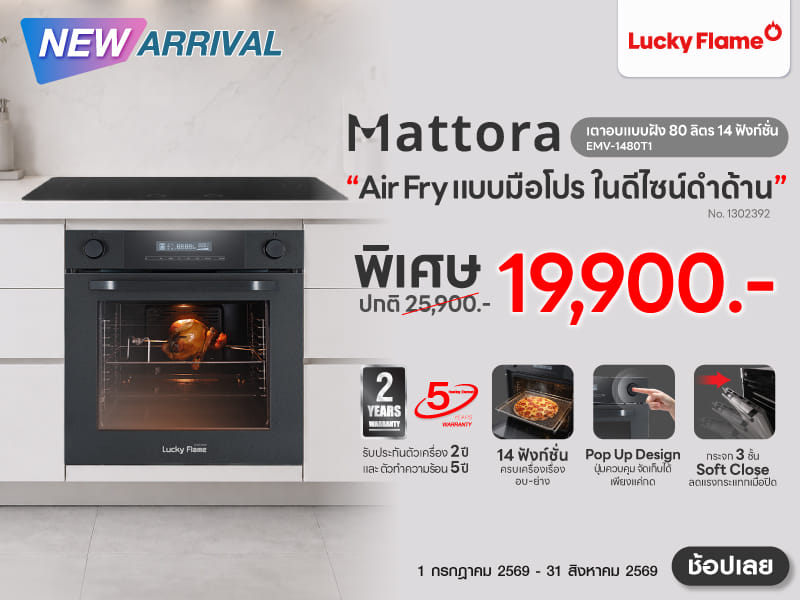 DIGITAL BUILT-IN OVEN LUCKY FLAME